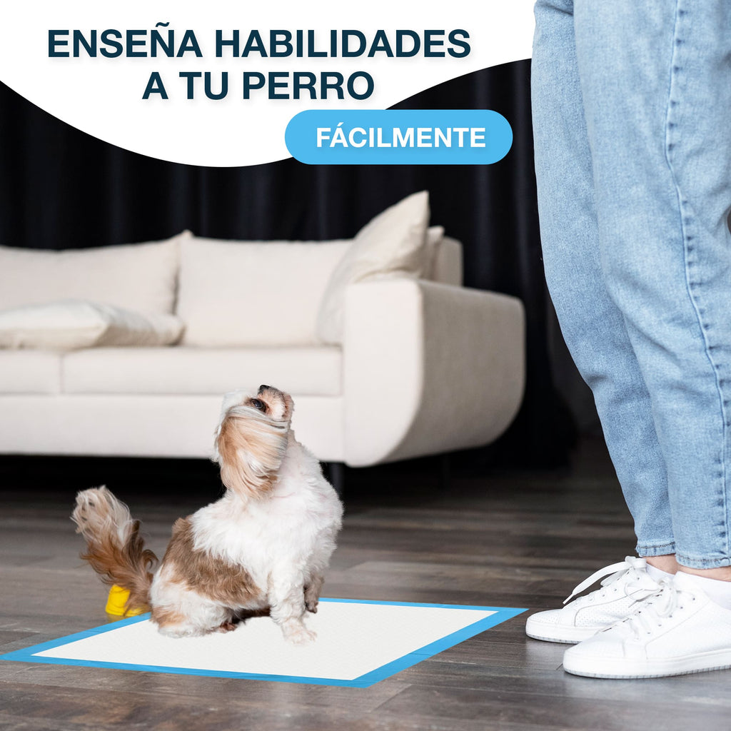 Empapadores para perros CIVINZON medidas 60x60 cm 100 Unidades máxima absorción