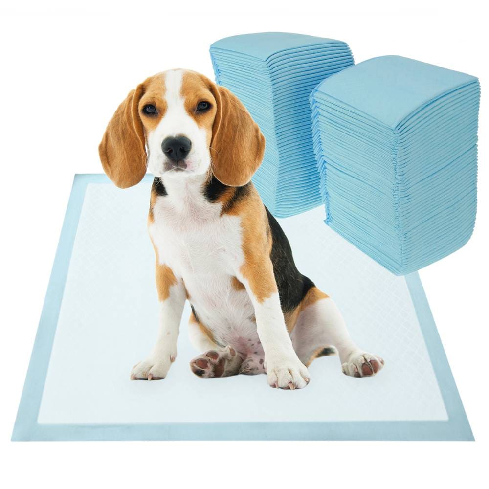 Empapadores para perros CIVINZON medidas 60x60 cm 100 Unidades máxima absorción