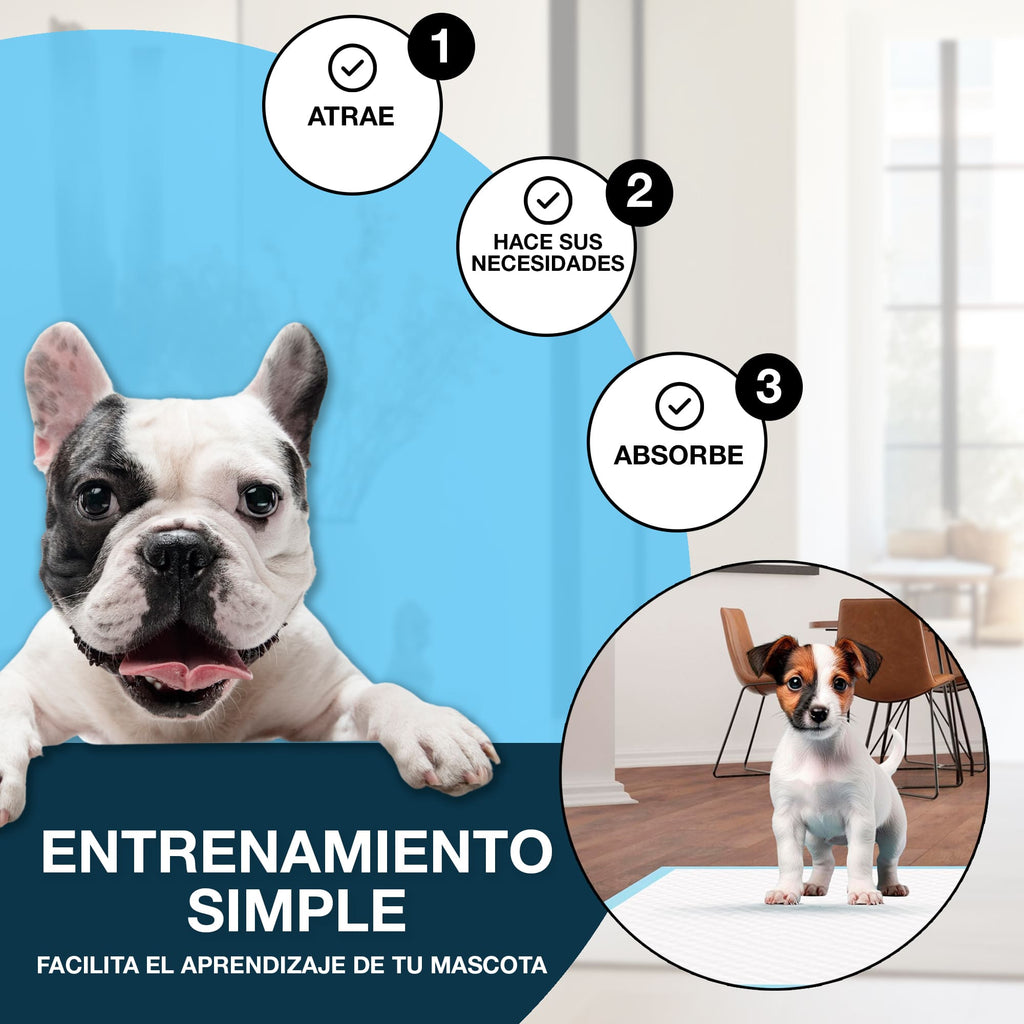 Empapadores para perros CIVINZON medidas 60x60 cm 100 Unidades máxima absorción
