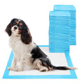 Empapadores para perros CIVINZON medidas 60x60 cm 100 Unidades máxima absorción